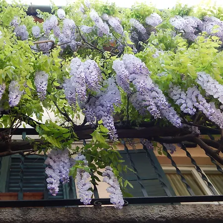 Mamma Ciccia Hotel 3*