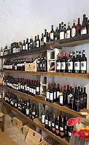 Mamma Ciccia Ξενοδοχείο Mandello del Lario